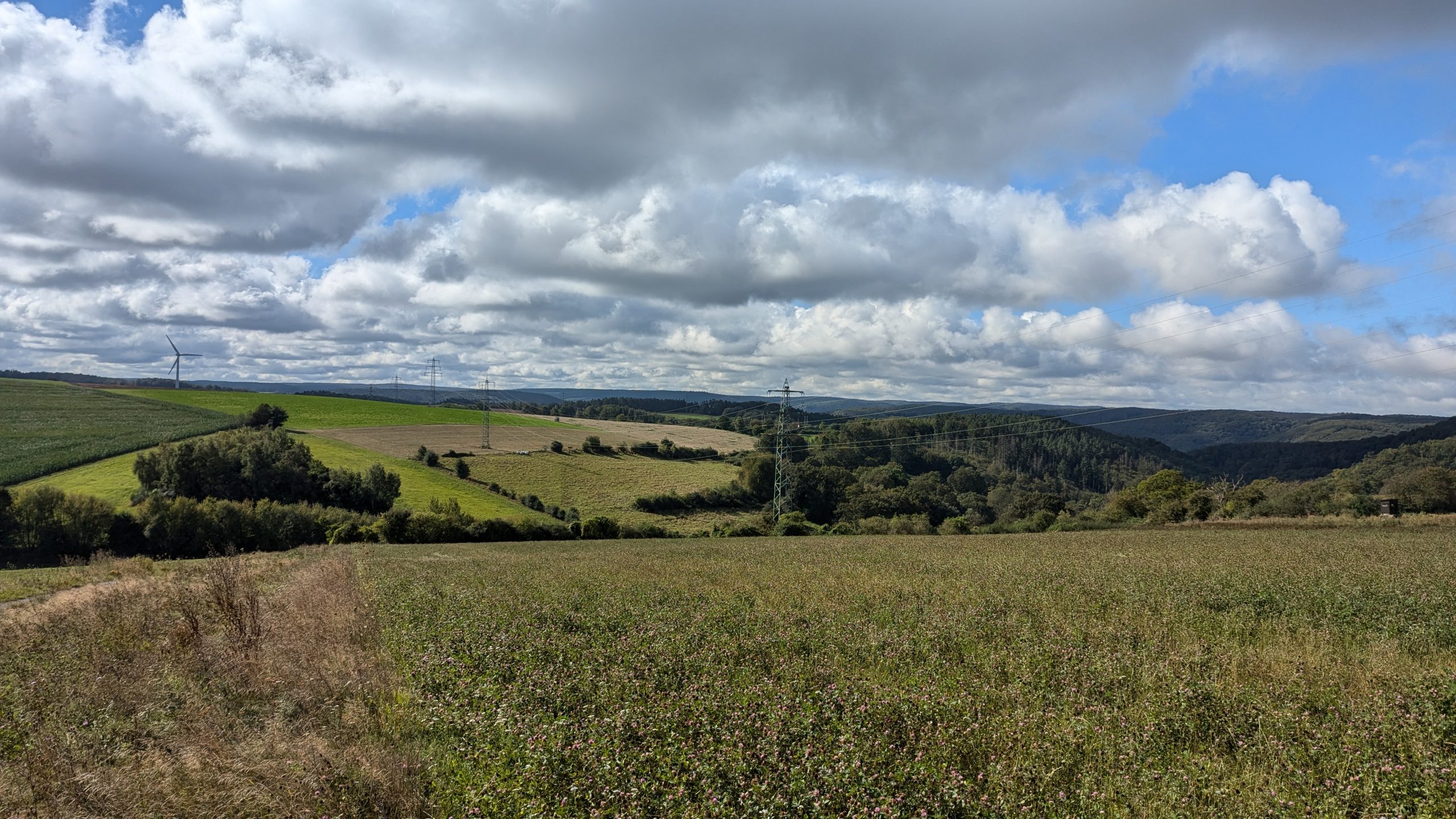 PXL_20240913_090305745